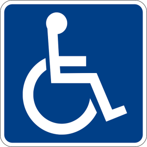 Diversiteit in handicaps: zorgbehoeften, toegankelijkheid van gezondheidszorg, inclusie en emotionele steun